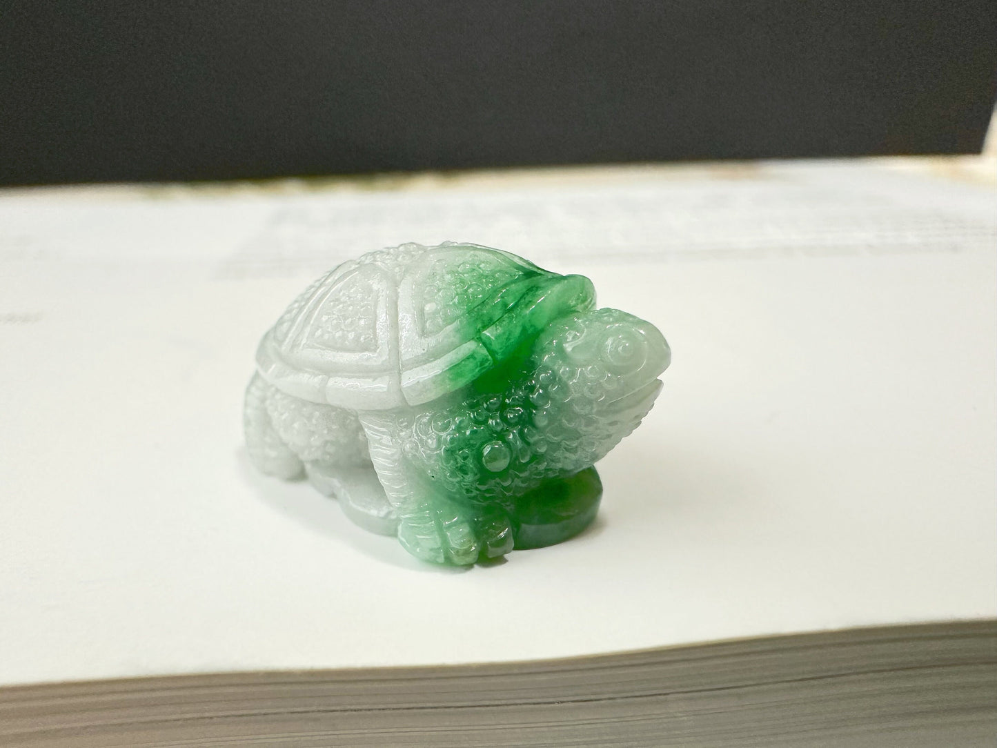 Natural Myanmar Tortoise Loose Vivid Green Jadeite Jade, Symbol of Longevity