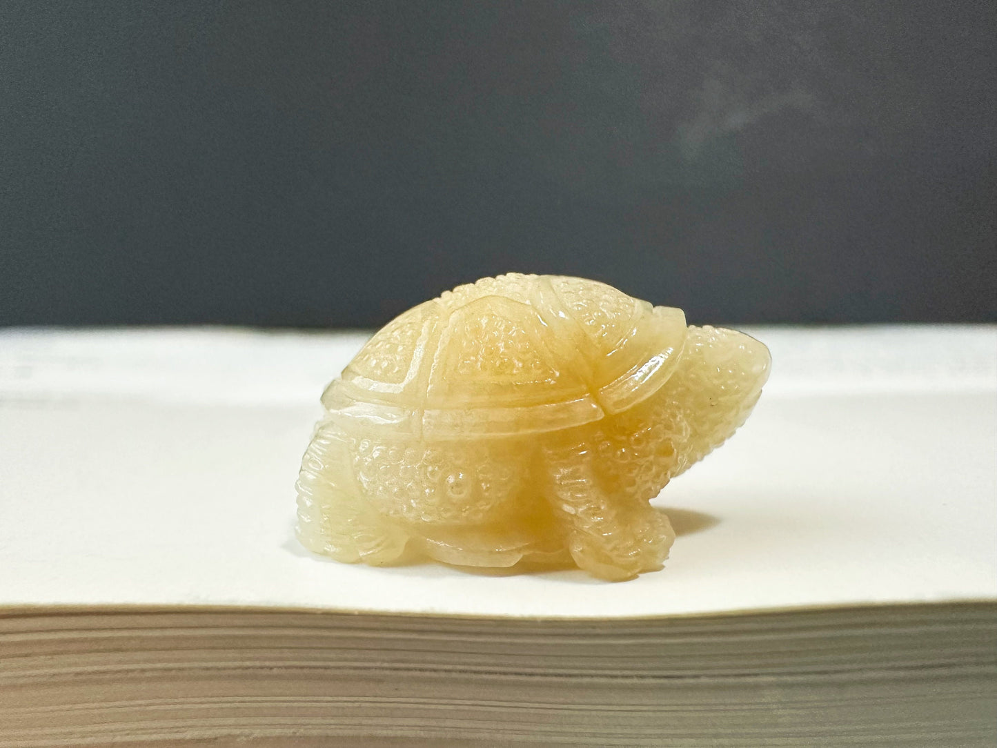 Natural Myanmar Golden Yellow Tortoise Loose Jadeite, Symbol of Longevity, Gift for Elderly