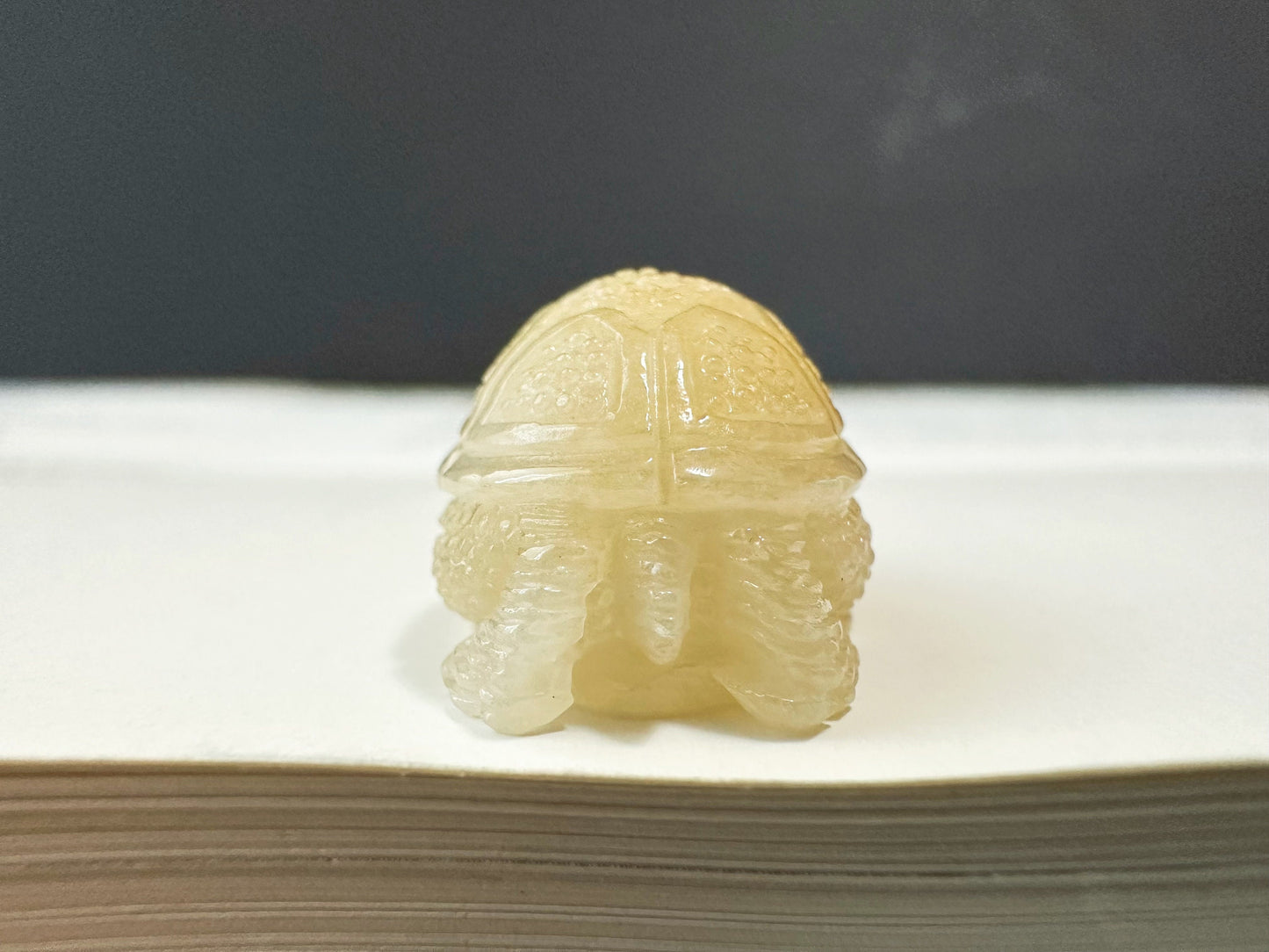 Natural Myanmar Golden Yellow Tortoise Loose Jadeite, Symbol of Longevity, Gift for Elderly
