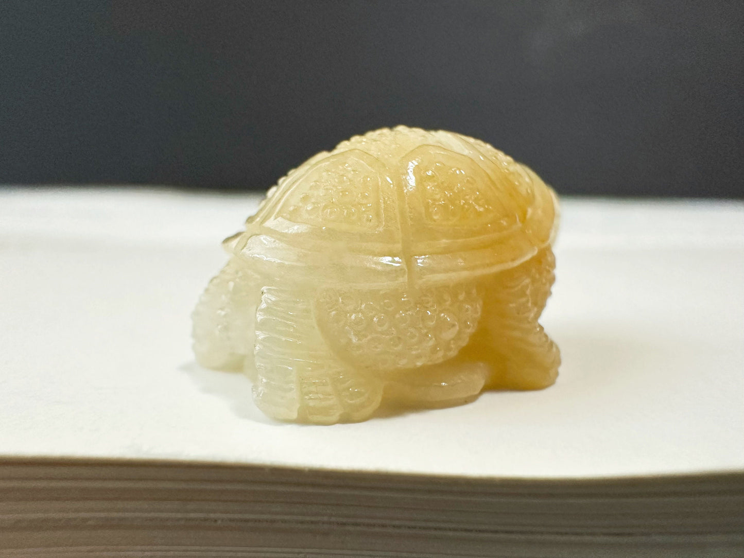 Natural Myanmar Golden Yellow Tortoise Loose Jadeite, Symbol of Longevity, Gift for Elderly