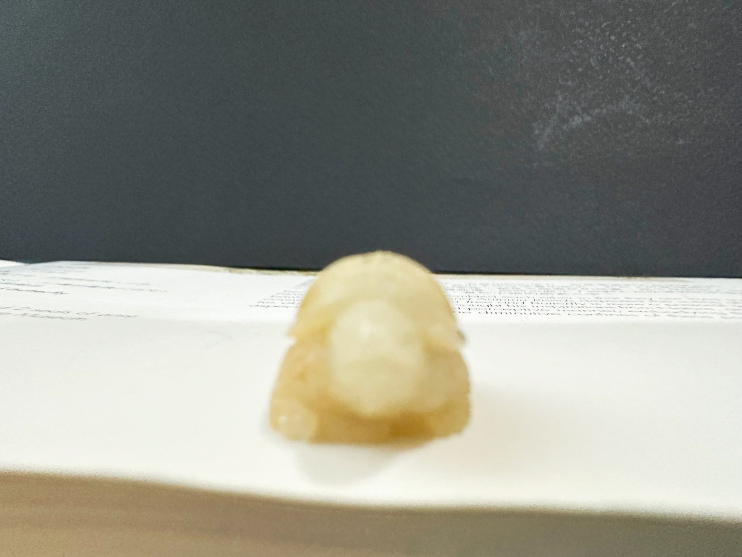 Natural Myanmar Golden Yellow Tortoise Loose Jadeite, Symbol of Longevity, Gift for Elderly