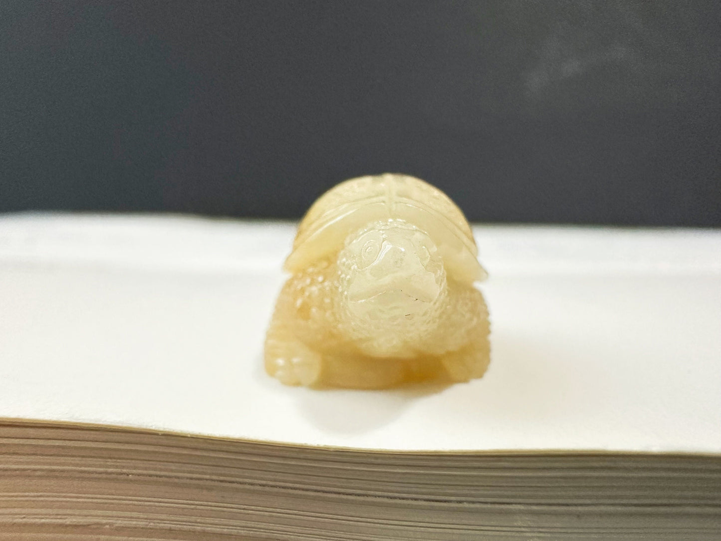 Natural Myanmar Golden Yellow Tortoise Loose Jadeite, Symbol of Longevity, Gift for Elderly