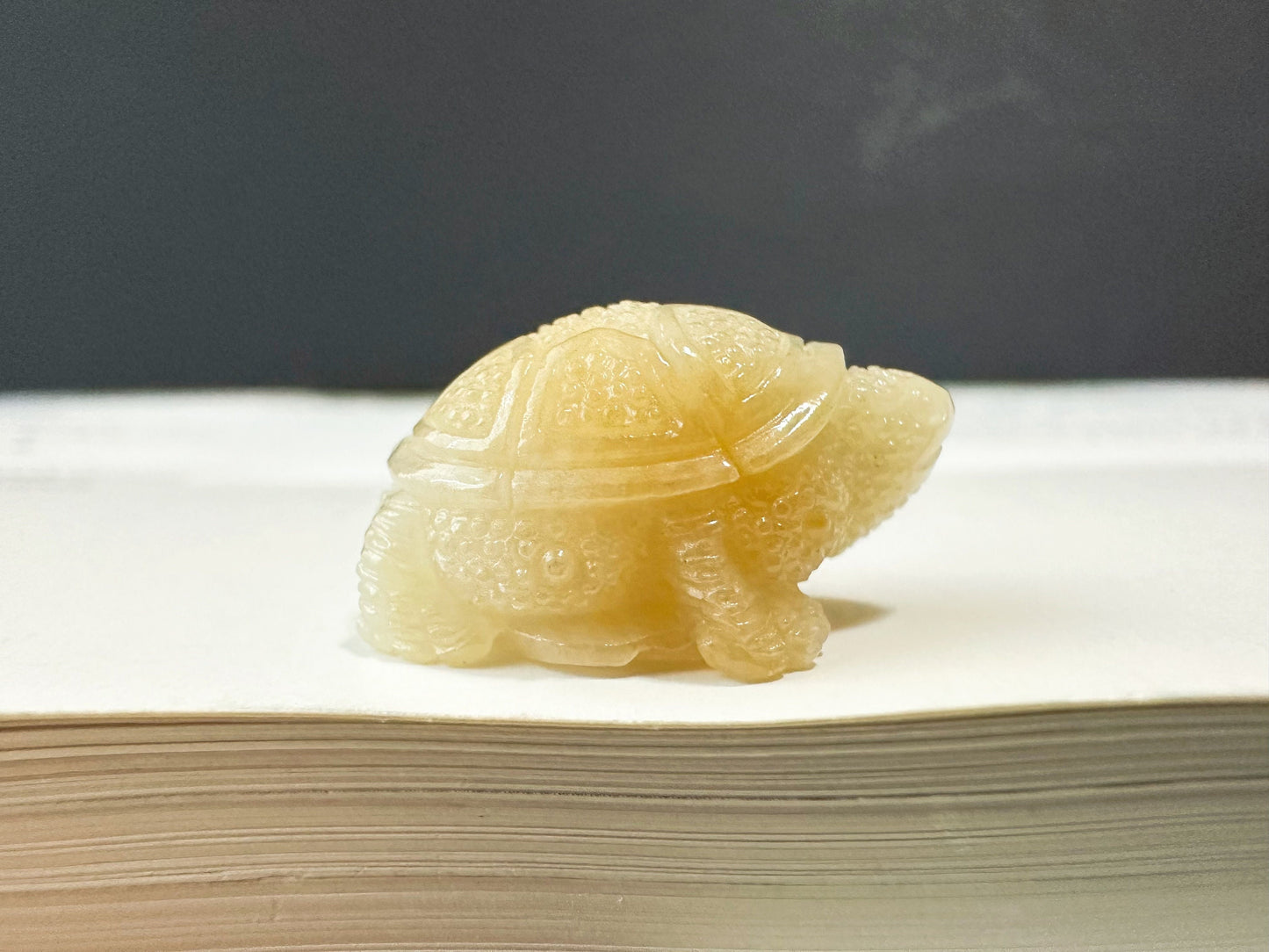 Golden Yellow Tortoise Jade, Symbol of Longevity