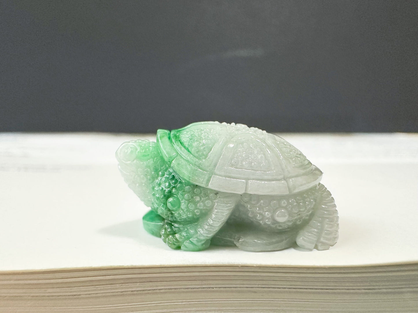 Natural Myanmar Tortoise Loose Vivid Green Jadeite Jade, Symbol of Longevity