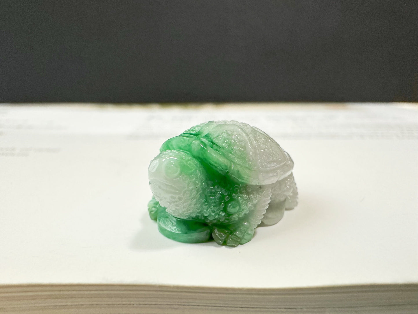 Natural Myanmar Tortoise Loose Vivid Green Jadeite Jade, Symbol of Longevity