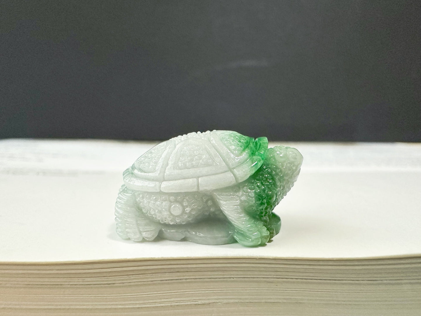Tortoise Jade, Symbol of Longevity