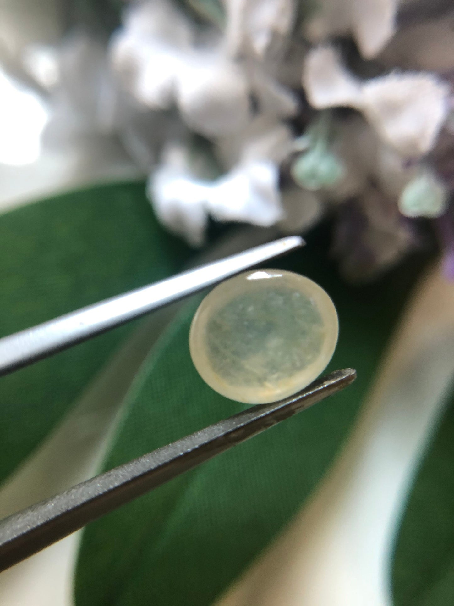 Honey Yellow Icy Type Jadeite Cabochon