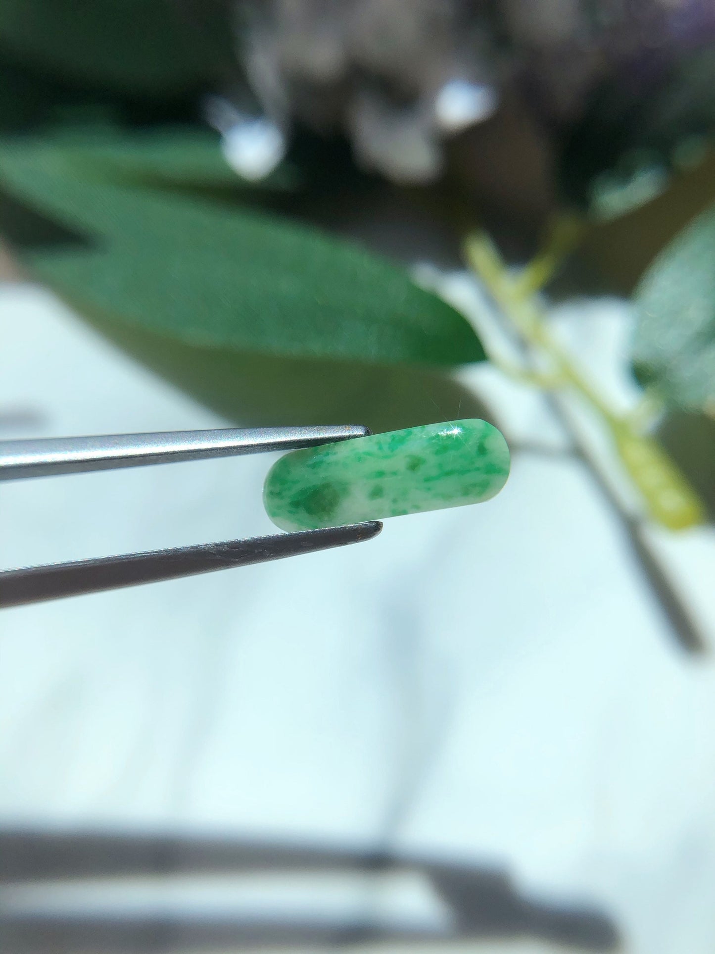 Green Jadeite Saddle Cut Gemstone