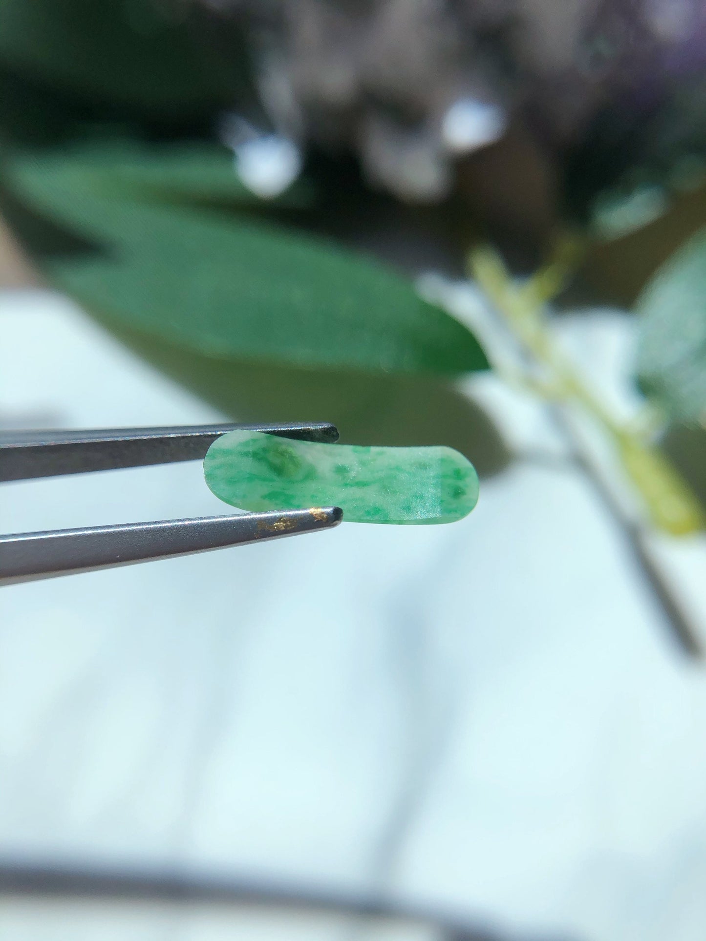 Green Jadeite Saddle Cut Gemstone