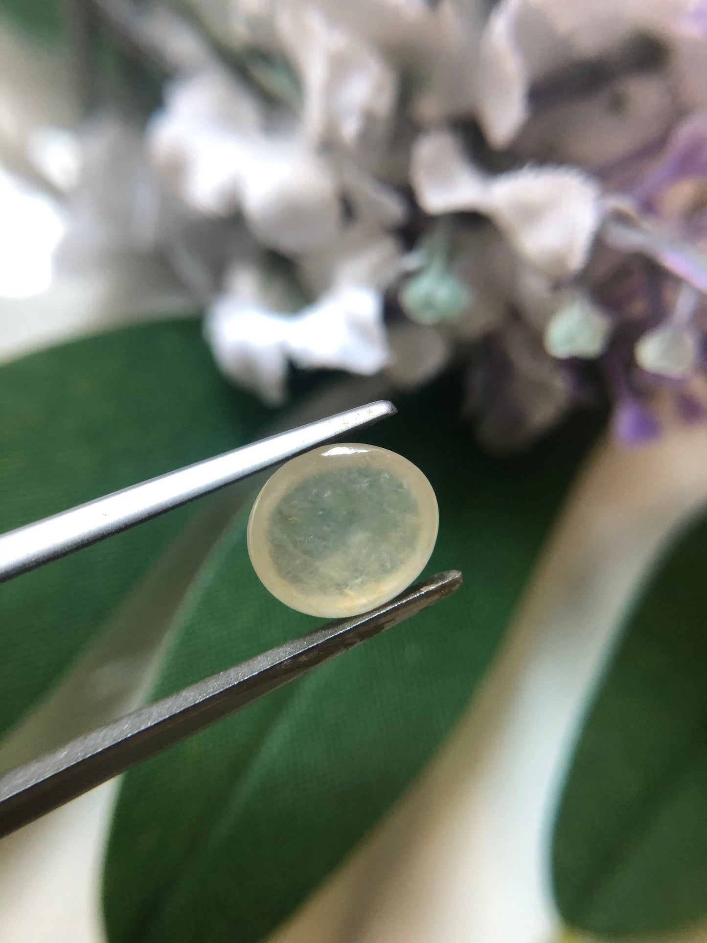 Honey Yellow Icy Type Jadeite Cabochon