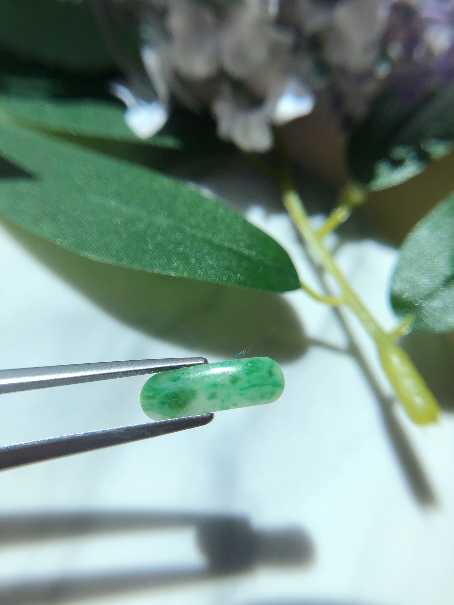 Green Jadeite Saddle Cut Gemstone