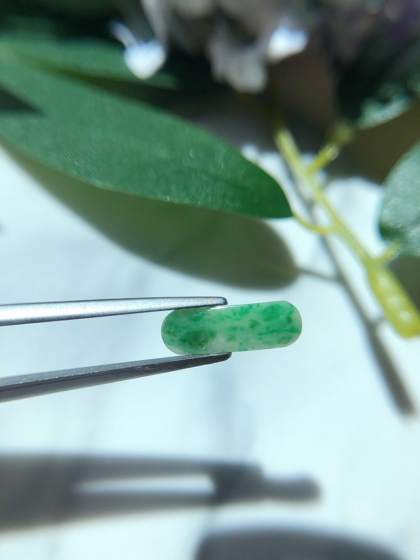Green Jadeite Saddle Cut Gemstone