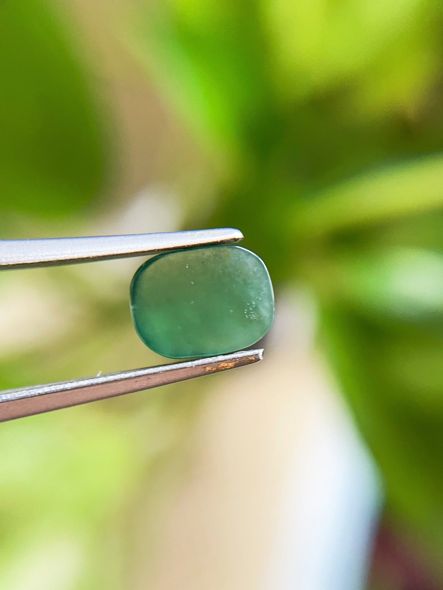 Icy Misty Green Jadeite Cabochon