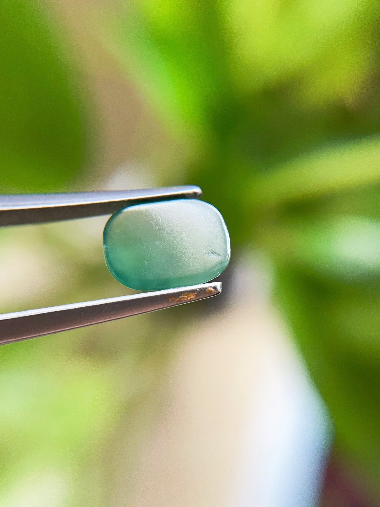 Icy Misty Green Jadeite Cabochon