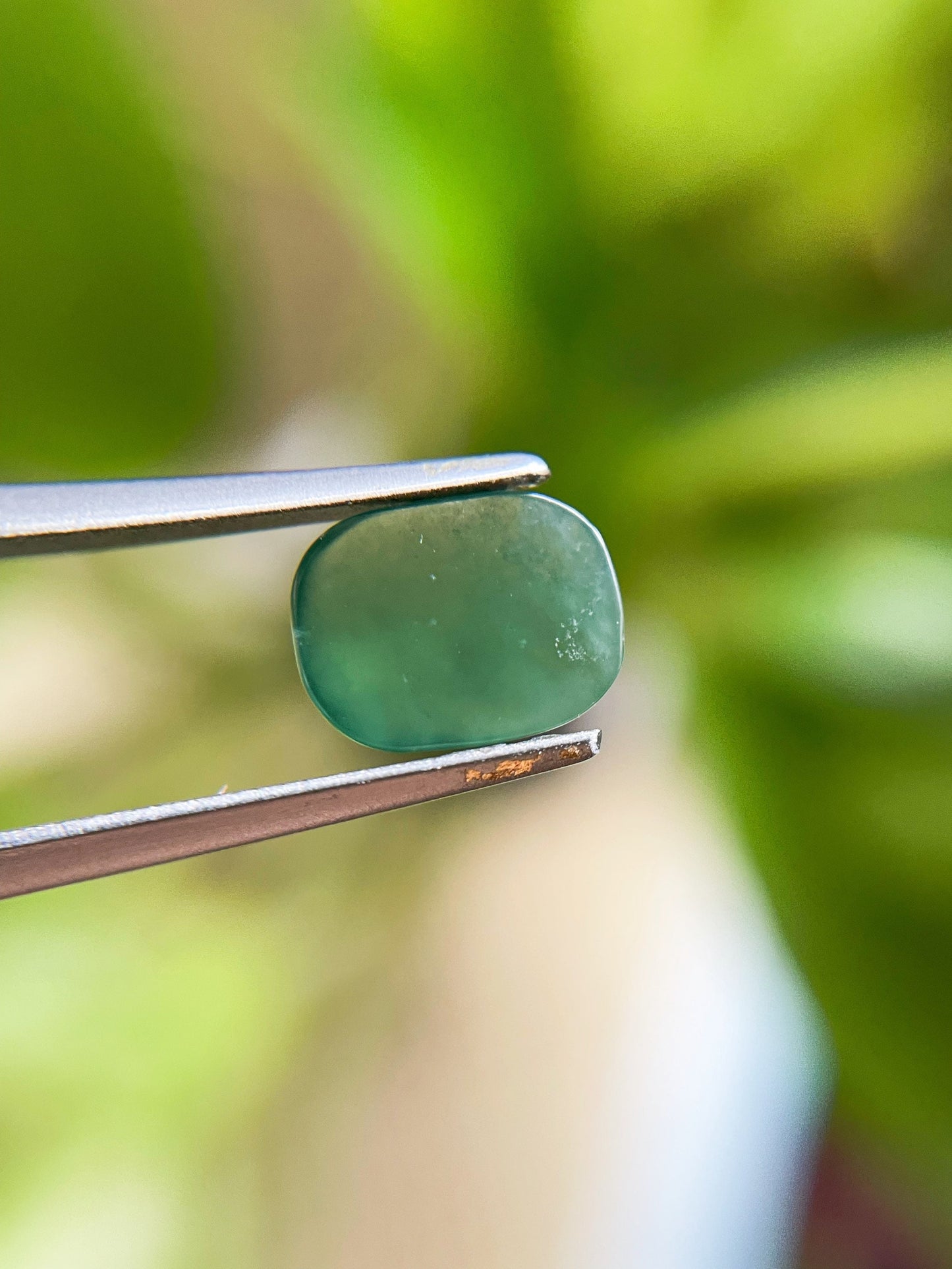 Icy Misty Green Jadeite Cabochon