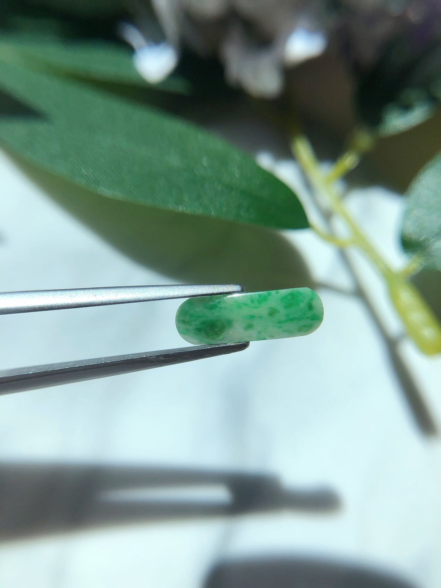Green Jadeite Saddle Cut Gemstone