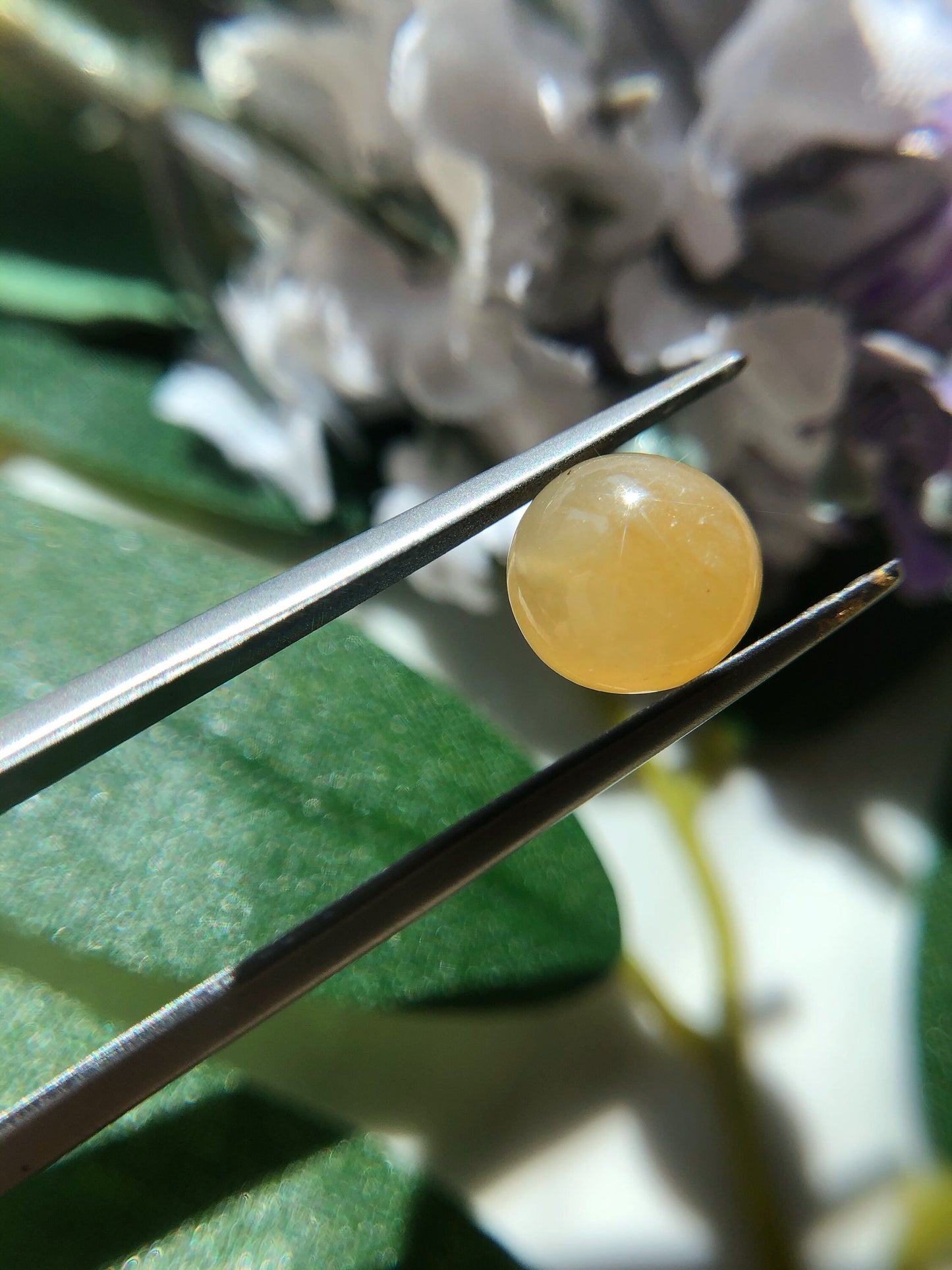 Honey Yellow Jadeite Cabochon