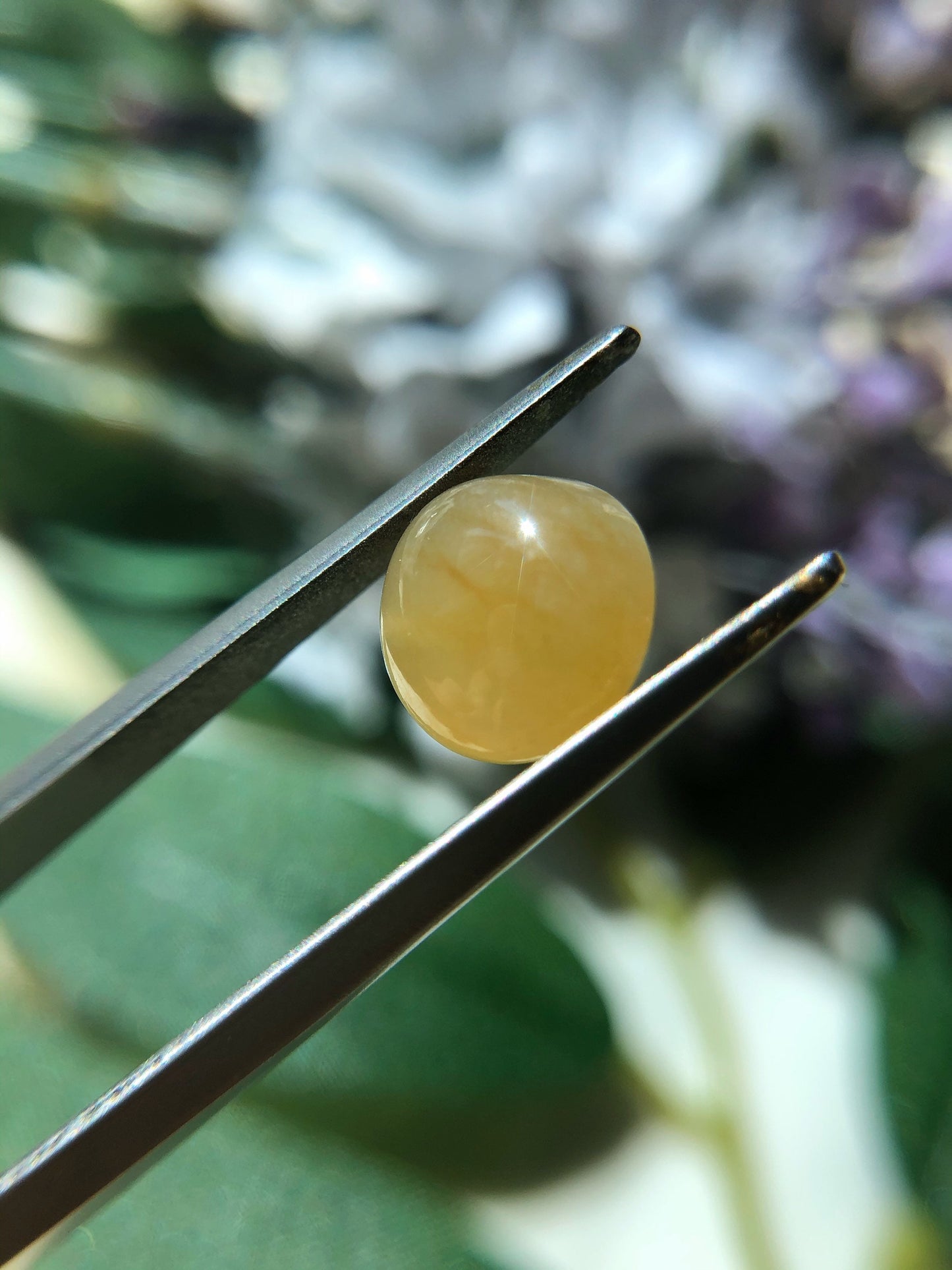 Honey Yellow Jadeite Cabochon