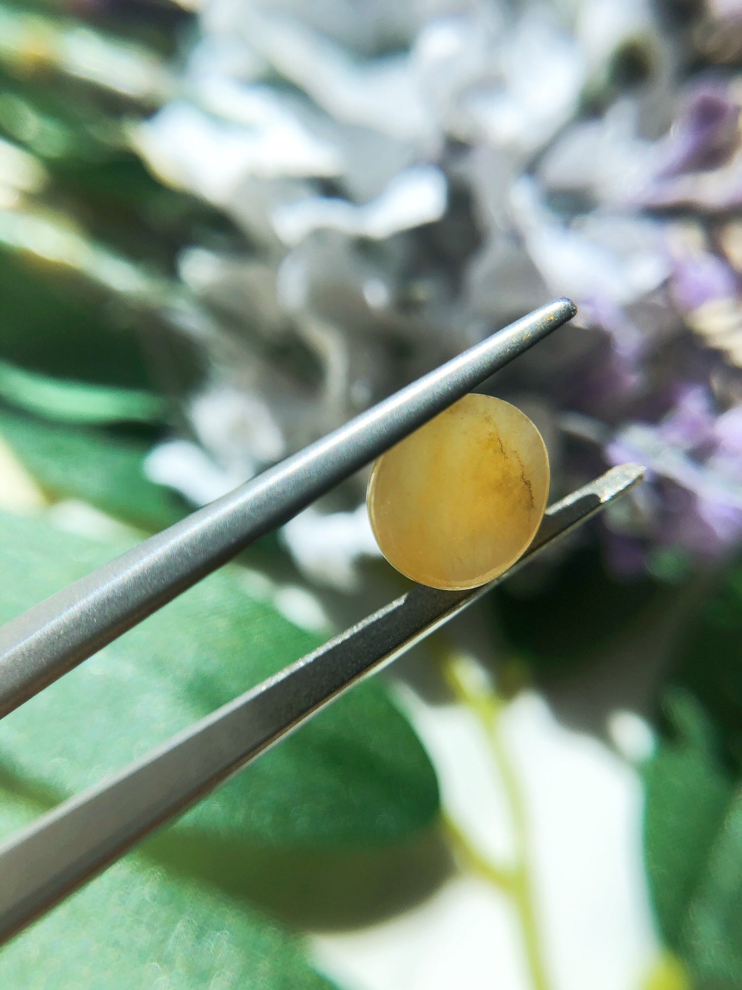 Honey Yellow Jadeite Cabochon