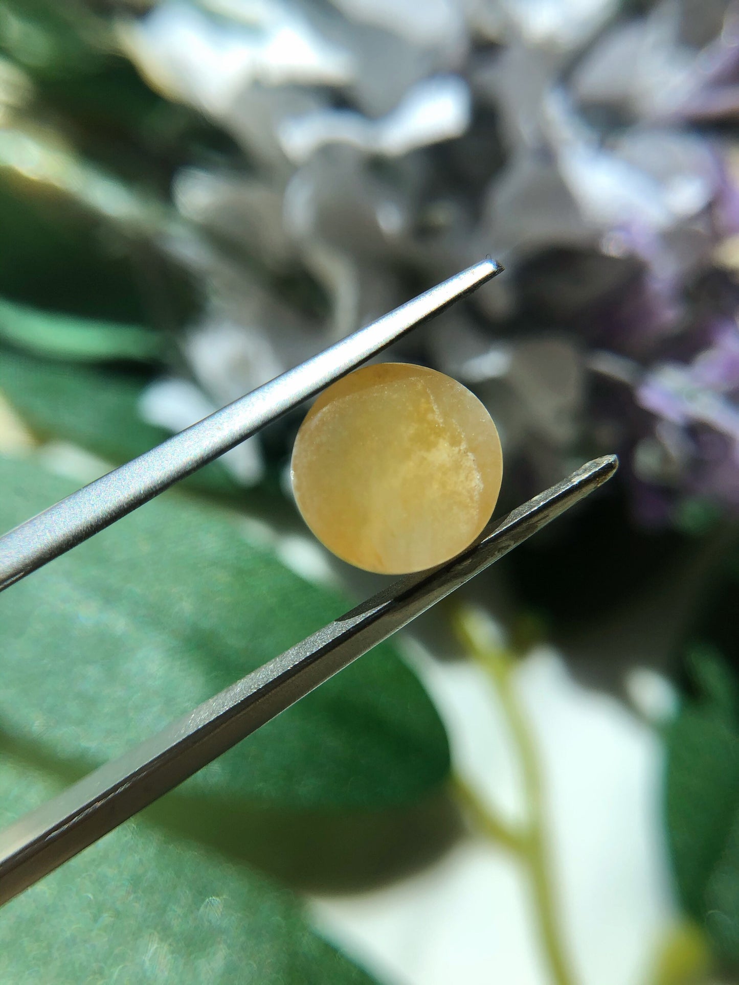 Honey Yellow Jadeite Cabochon