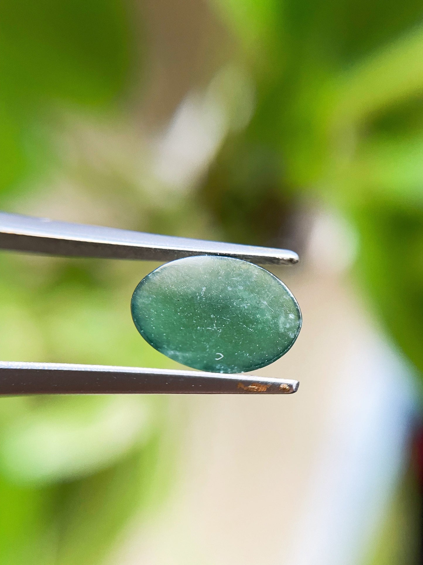 Mossy Green Jadeite Cabochon Loose Gemstone