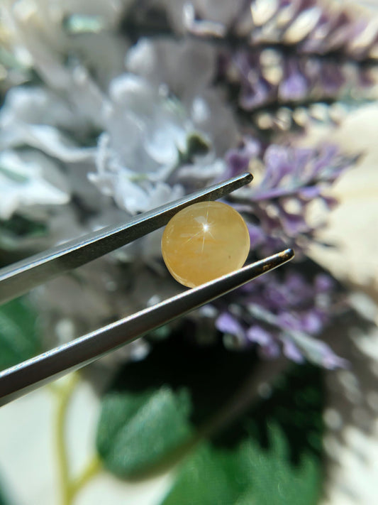 Honey Yellow Jadeite Cabochon