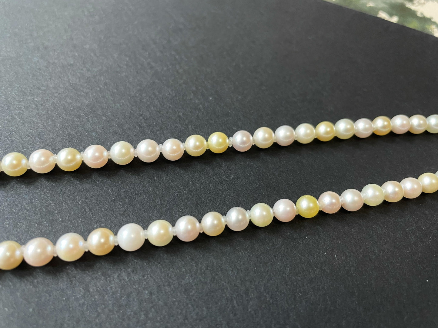 Multi-Color Japan Akoya Pearl Necklace with 14K Gold Ribbon Clasp