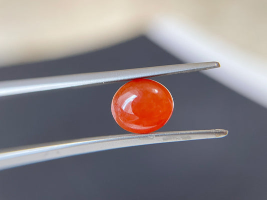 Brick Red Icy Jadeite Cabochon